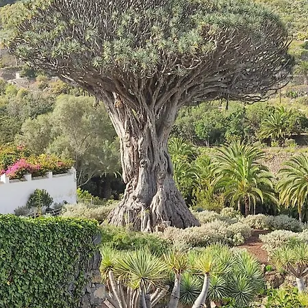 Pintadera's House/tara * Icod De Los Vinos