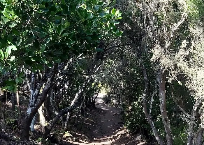 Pintadera's House/tara *