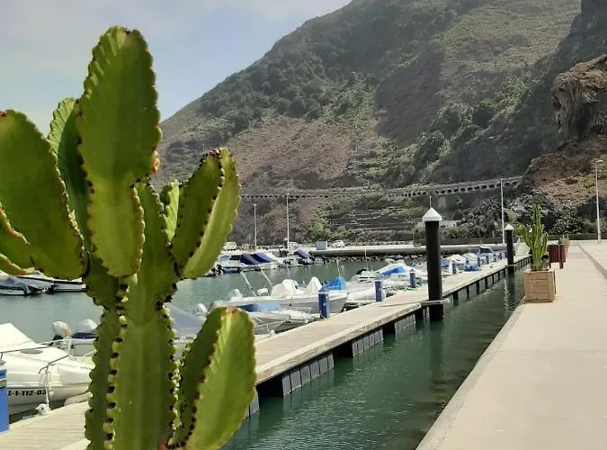 Pintadera's House/tara Holiday home Icod De Los Vinos